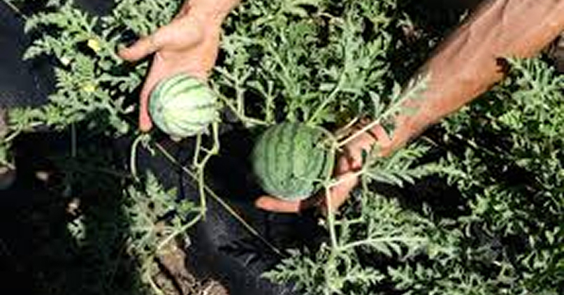 Magazine Publishing Feature