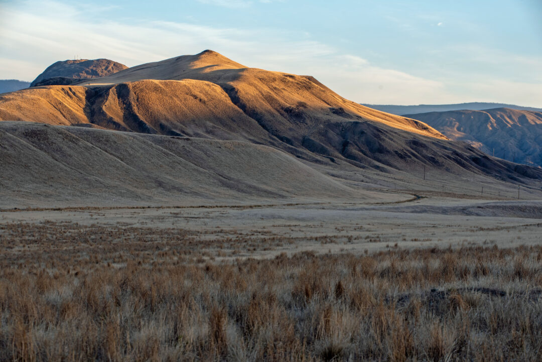 RS17368 AIB Fall 5059