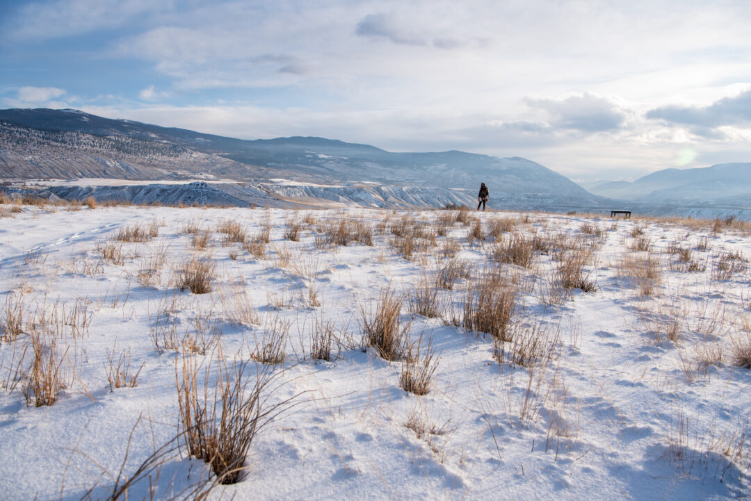 TNFC_AIB Plateaus Winter MPutnam