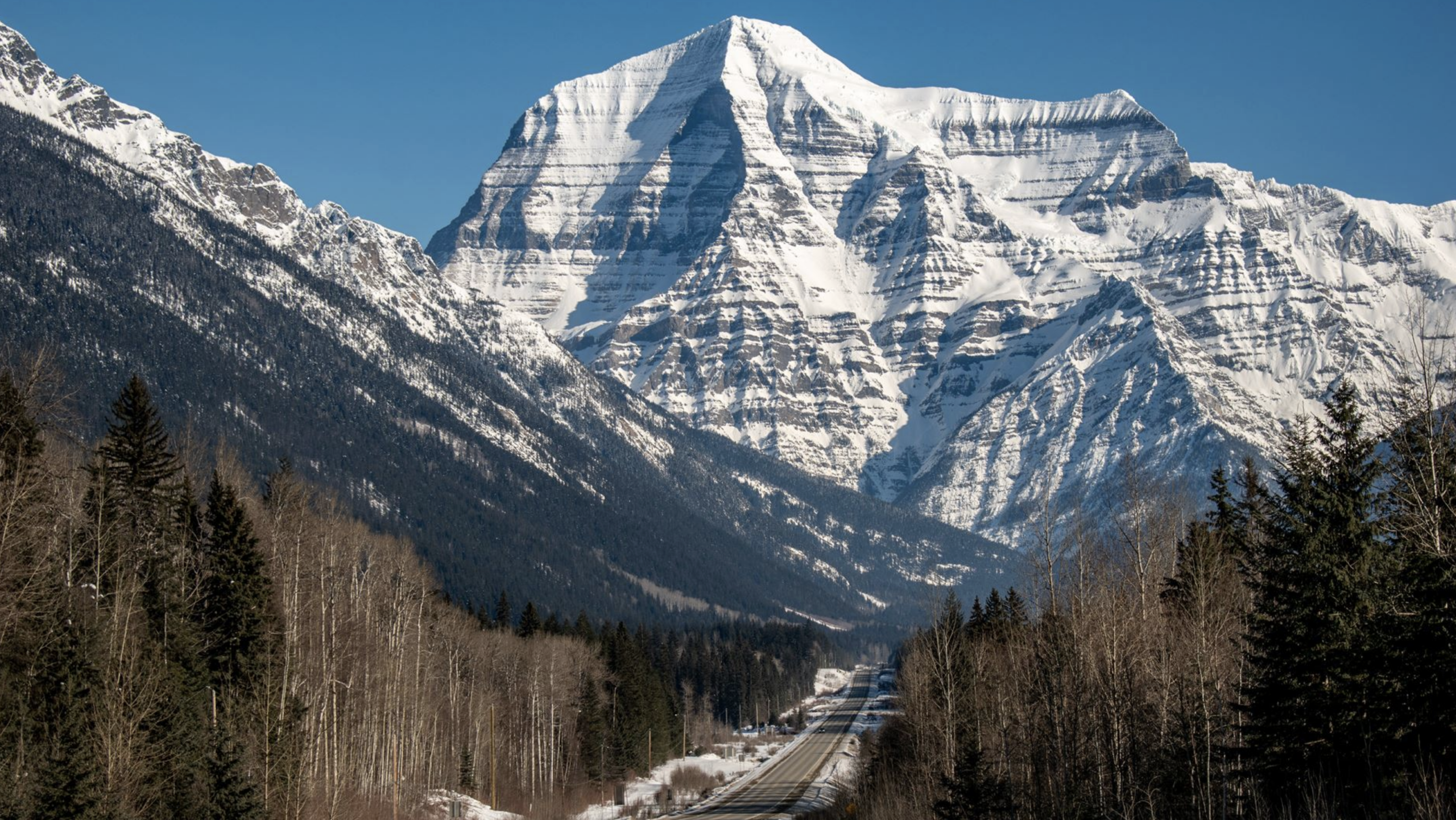 NBCFC_Screenshot 2025 11 25 At 9 06 19 PM