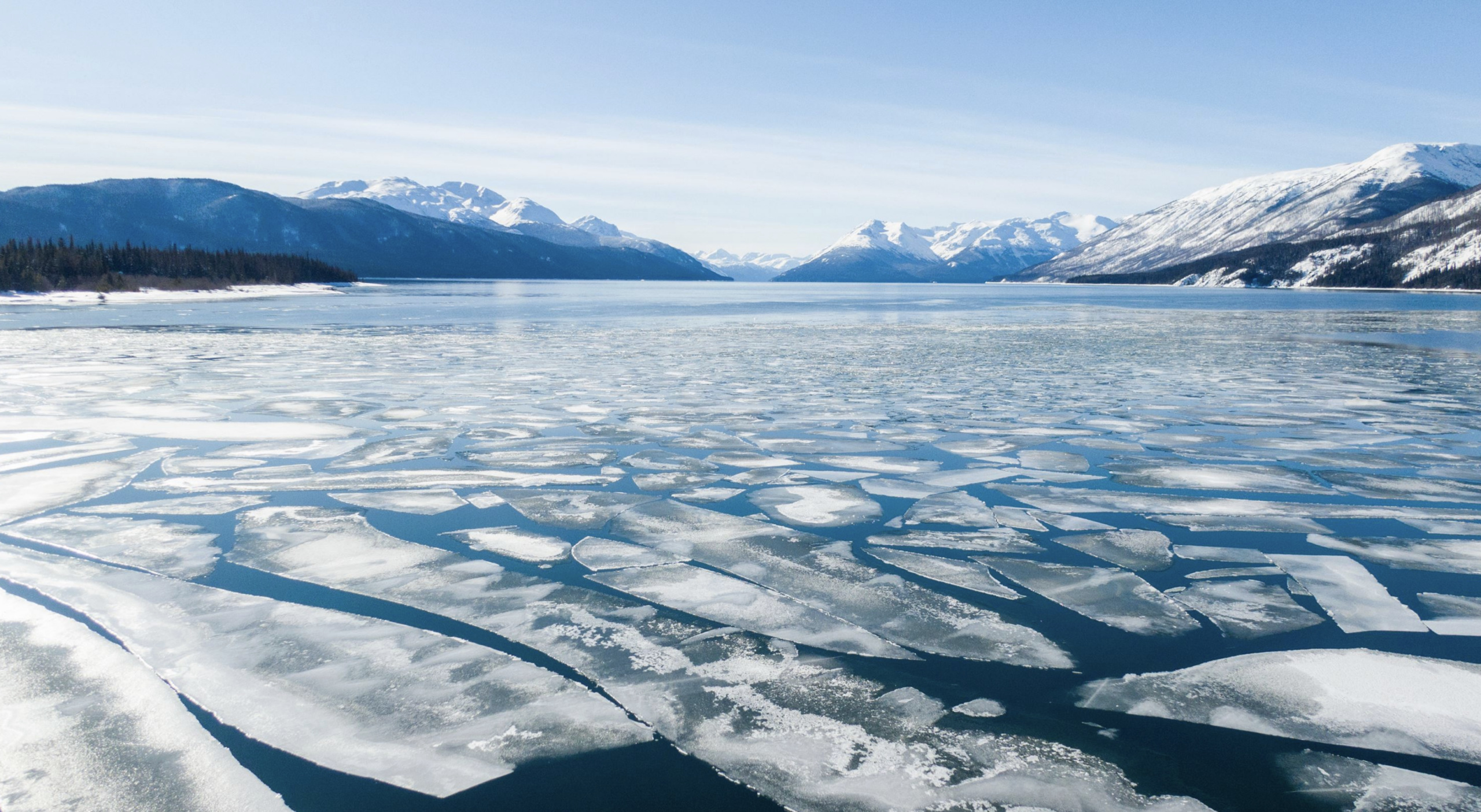 NBCFC_Screenshot 2025 11 25 At 9 18 38 PM