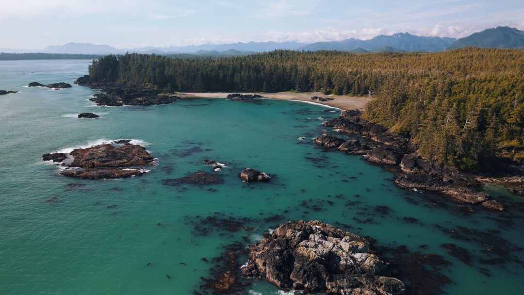 VINFC_Wya Point Beach