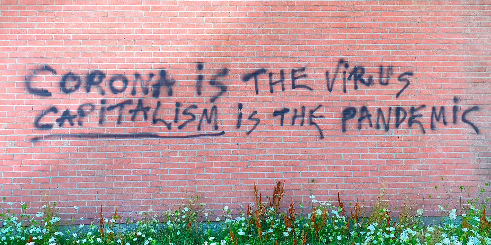 The New Corporation: The Unfortunately Necessary Sequel Image