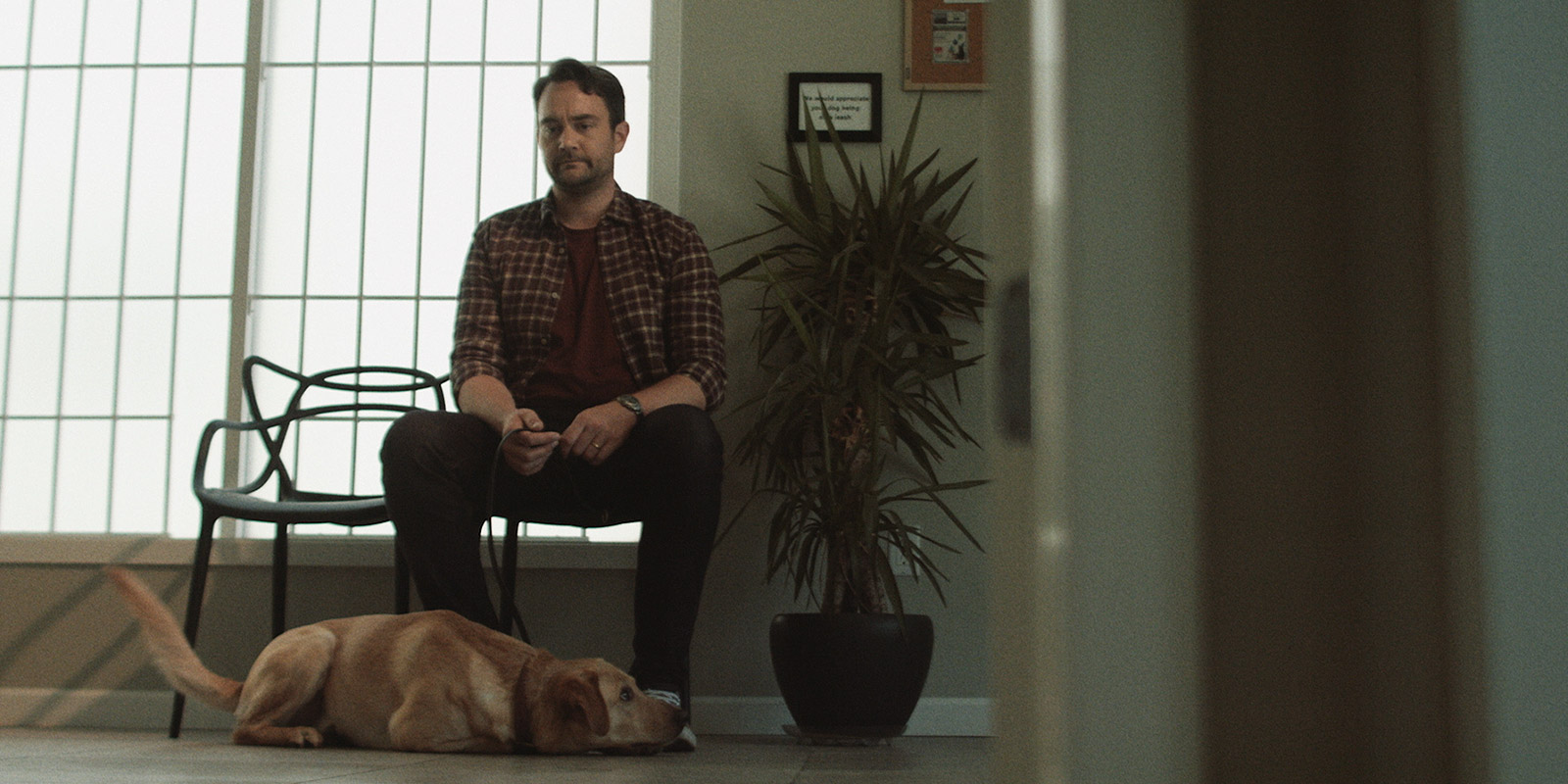 A New Leash on Life Image